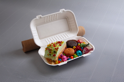 Cam Shell food Containers By Ecolates