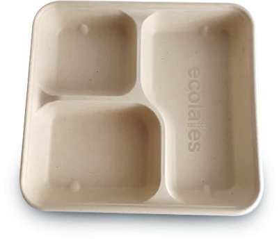 Sugarcane Bagasse Products-Biodegradable Products - Ecolates