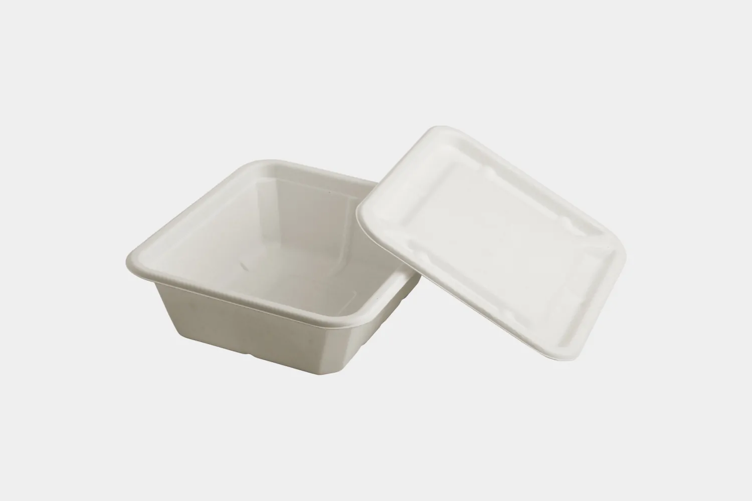 Small Biodegradable Food Container with Lid Front View - Ecolates (Disposable Container)