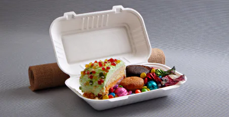 Sugarcane Bagasse Containers / Disposable food containers by Ecolates