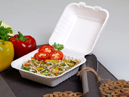 Sugarcane Bagasse Square Containers / Disposable Containers by Ecolates